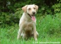 Bella at the Park 005.jpg